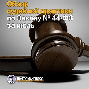 Обзор судебной практики по Закону №44-ФЗ за июль